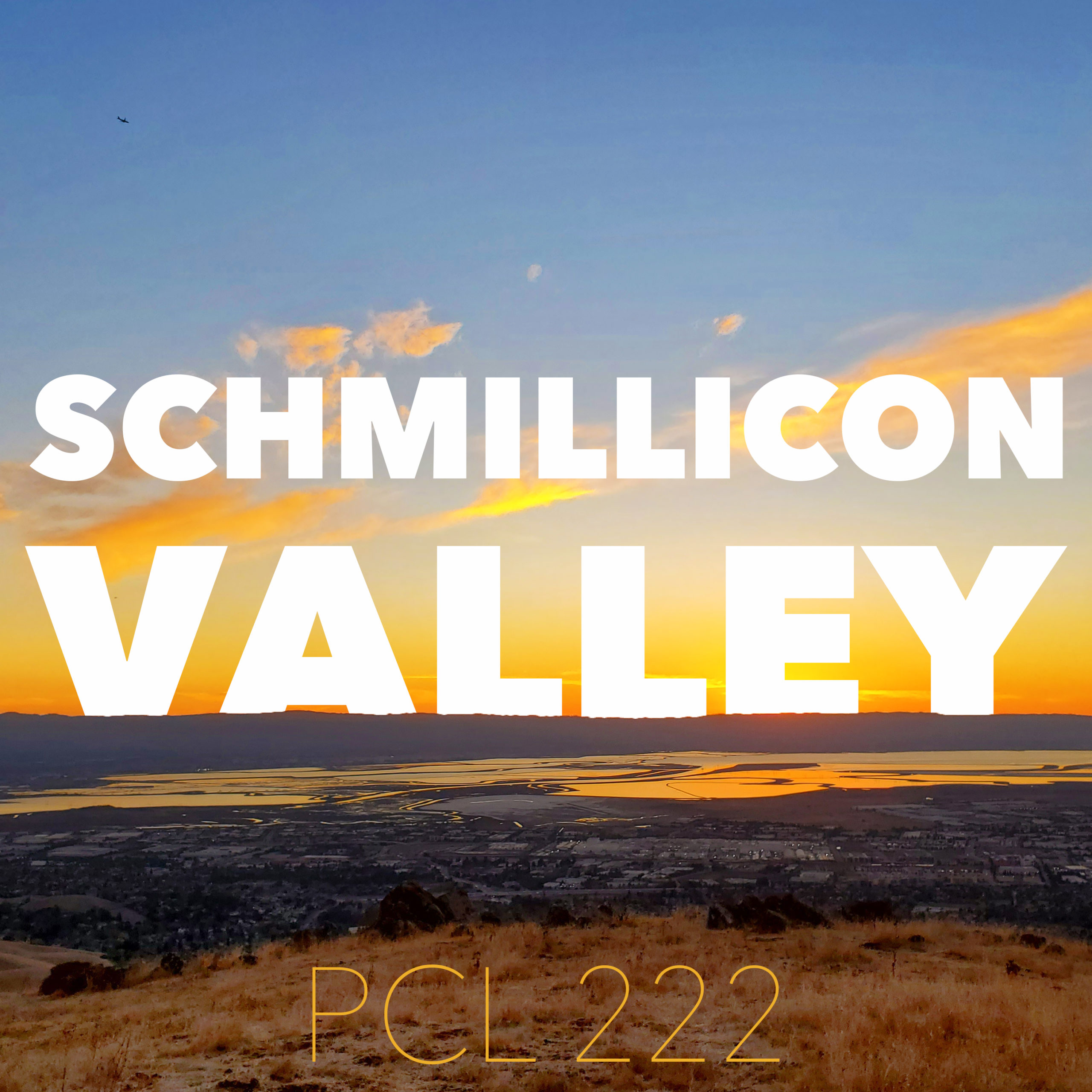 PCL222: CA 1 – Schmillicon Valley
