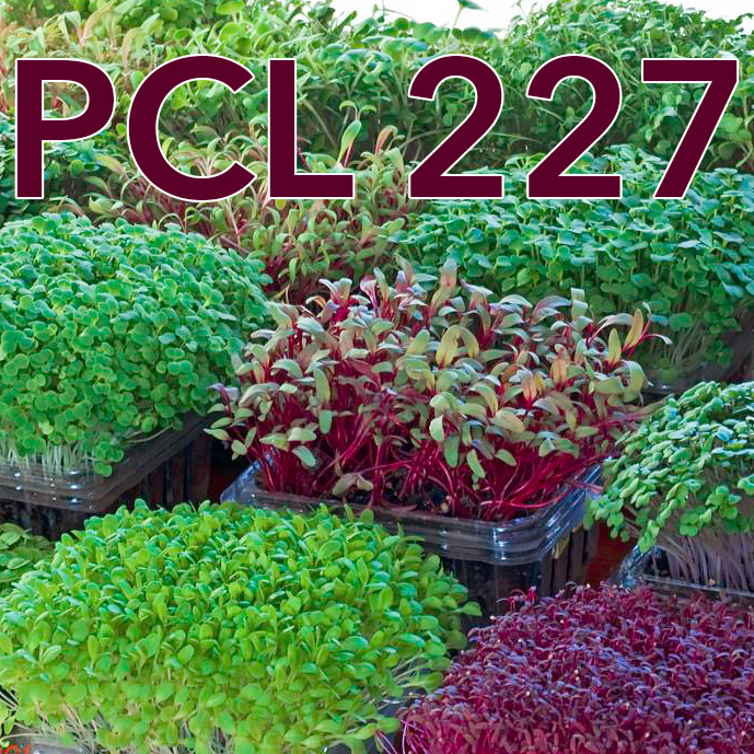 PCL227: My Buddy – Pt 2