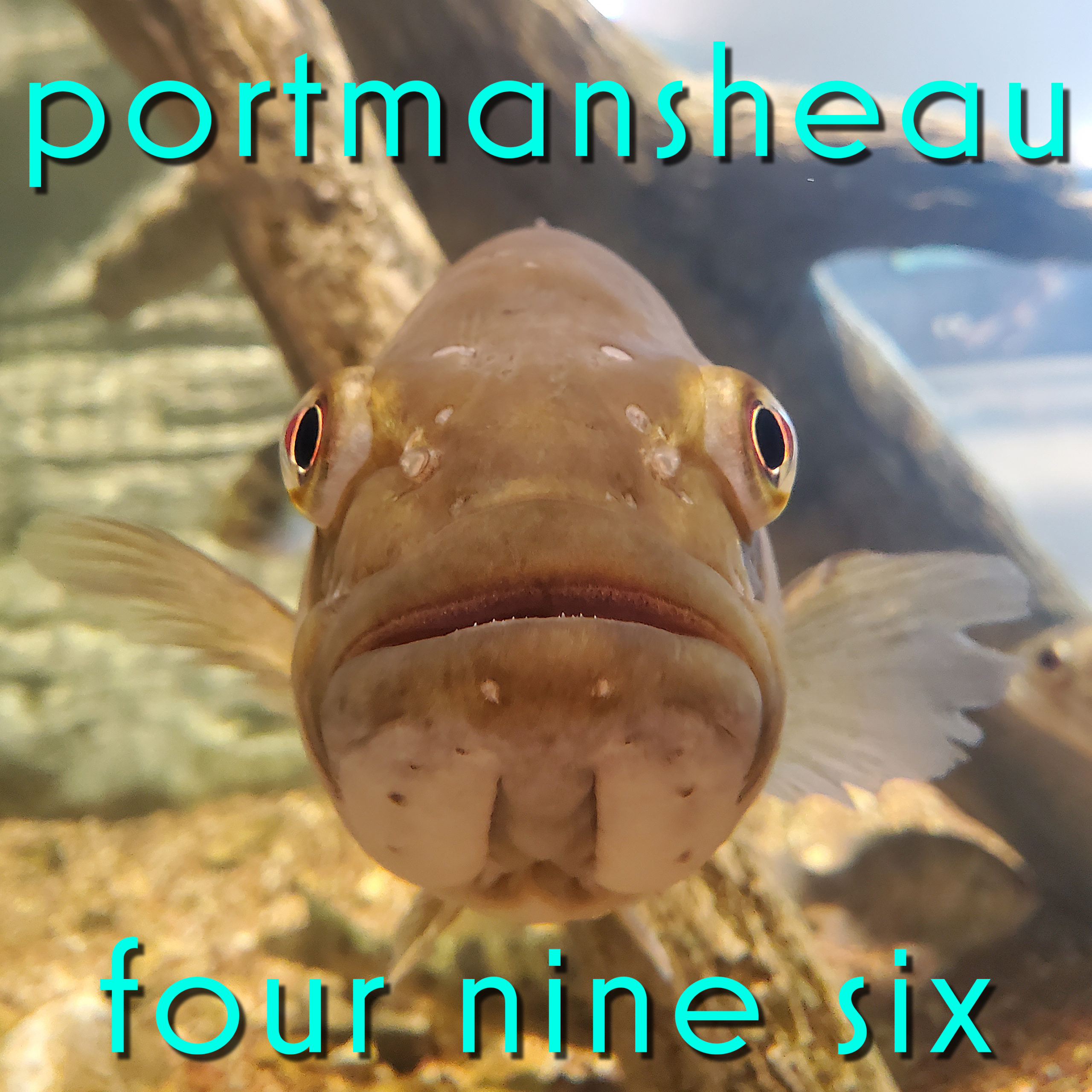 496: Piss Fish
